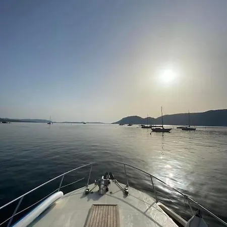 Sejour Insolite A Bord D'un Bateau A Vecchio *